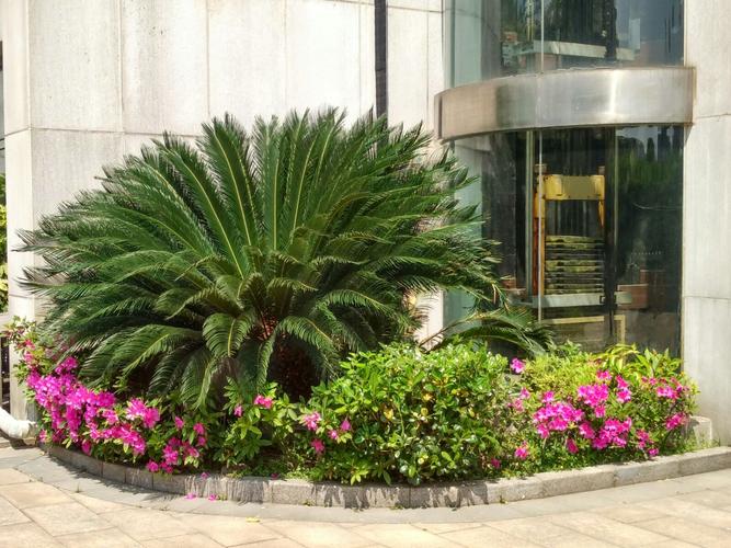工厂建成花园，品质改变世界——园林绿化的力量与意义