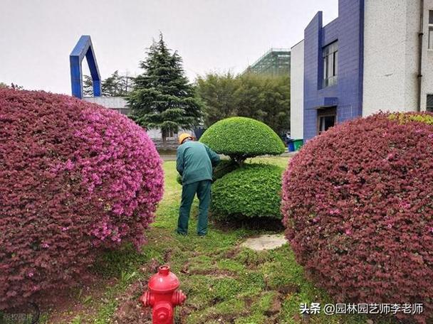 园林绿化 三分种，七分养，养护才是灵魂